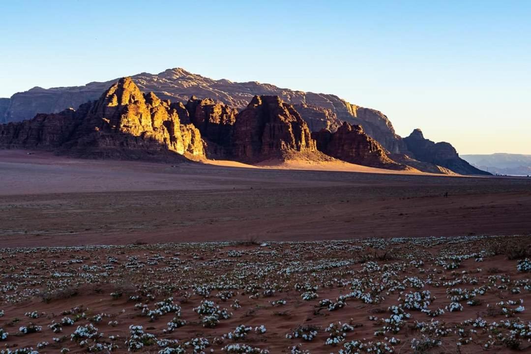 Wadi Rum Moon Camp Exterior foto